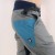 Men's-Climbing-Trousers-AGREST-SKILLER-LIGHT-Grey-5.jpg